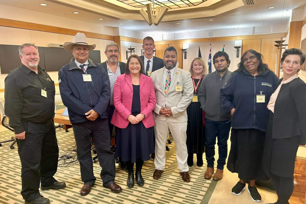 Mayor and CEO at Parliament House Standing Committee - 2