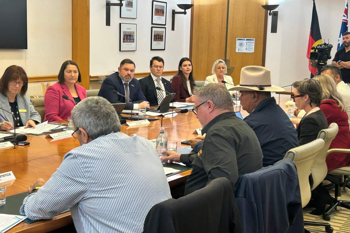 Mayor and CEO at Parliament House Standing Committee 2026
