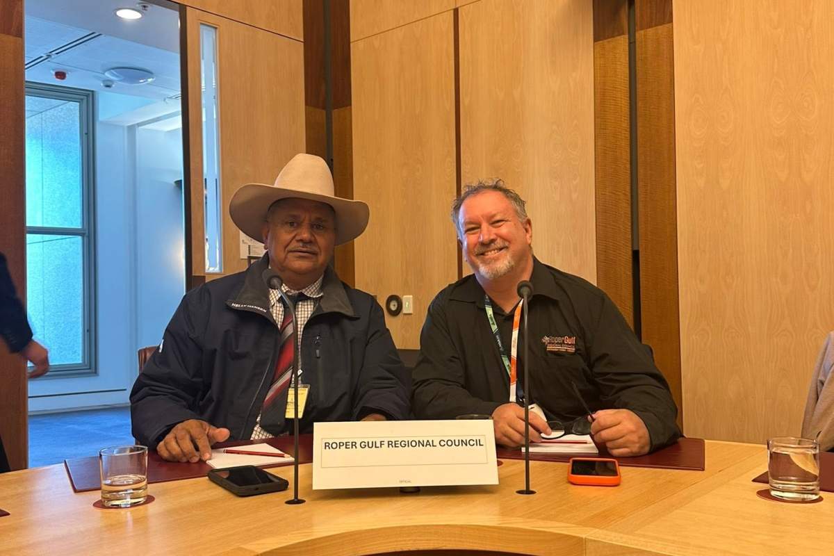 Mayor and CEO at Parliament House Standing Committee - 3