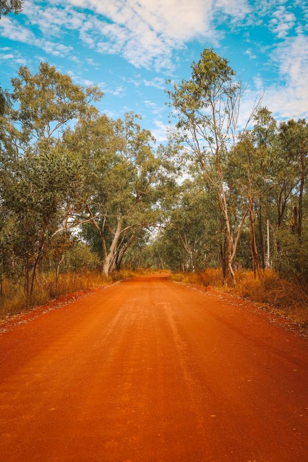 Red dirt road surrounded by trees
