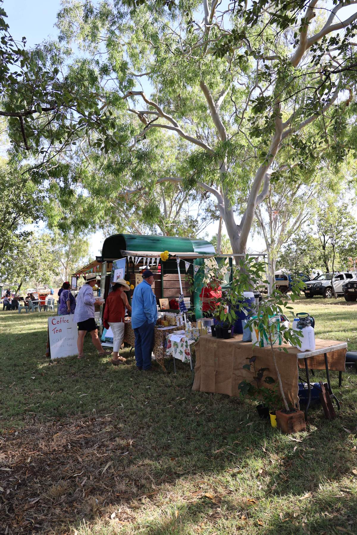 Never Never Festival in Mataranka