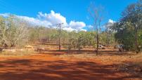 Red dirt and trees 