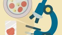 Science Week Image